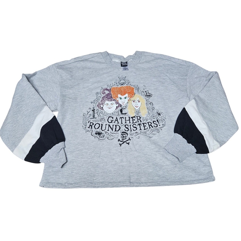 Disney Hocus Pocus Gather Round Sisters Gray Colorblock Sweatshirt Womens Medium